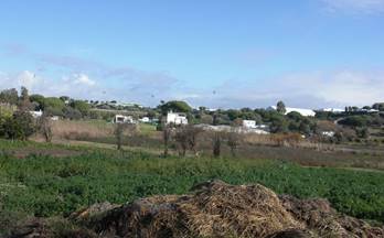 68 terrenos y fincas en venta cadiz provincia
