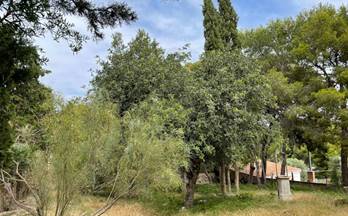 189 casas en venta mutxamel