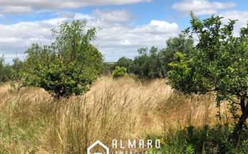 venta terrenos solares almonte almonte