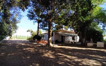 157 casas en venta la aljorra