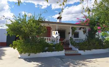 venta chalet montoro rural