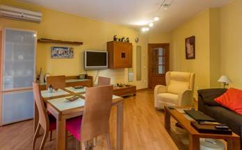 35 pisos en venta sant climent de llobregat