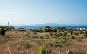 venta terrenos solares arta colonia de sant pere