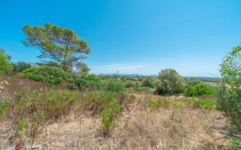 290 terrenos y fincas en venta mallorca islas baleares