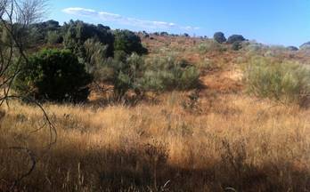 venta terrenos solares navas del rey navas del rey