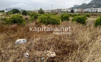 74 terrenos y fincas en venta benisuera