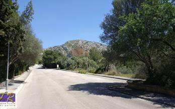 126 terrenos y fincas en venta pollensa