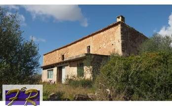 31 terrenos y fincas en venta algaida