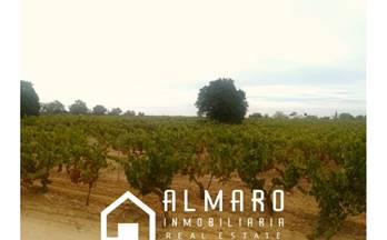 venta terrenos solares almonte almonte