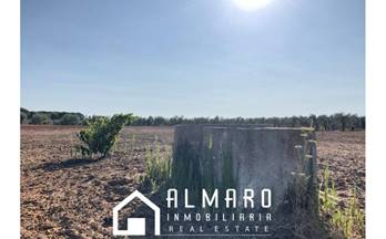venta terrenos solares almonte almonte