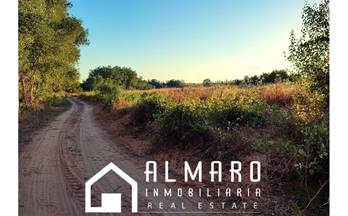 230 terrenos y fincas en venta huelva provincia