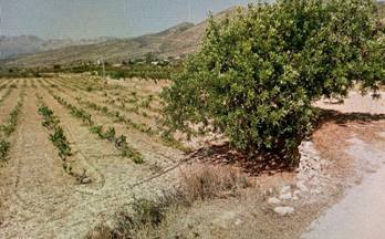 venta terrenos solares benissa benimallunt