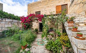 156 casas en venta campanet