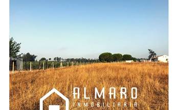 167 terrenos y fincas en venta almonte