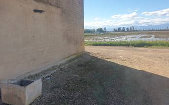 venta terrenos solares sant jaume d´enveja delta del ebro