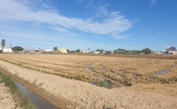 venta terrenos solares sant jaume d´enveja sant jaume d enveja