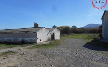 venta finca rustica gallipienzo gallipienzo nuevo