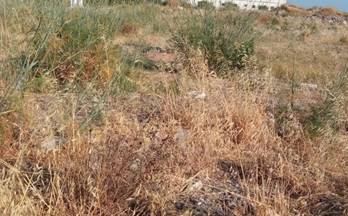 11 terrenos y fincas en venta sanlucar de barrameda