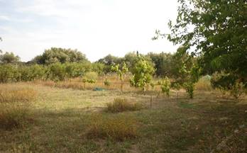 28 terrenos y fincas en venta riudoms