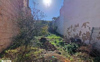 142 terrenos y fincas en venta port de alcudia