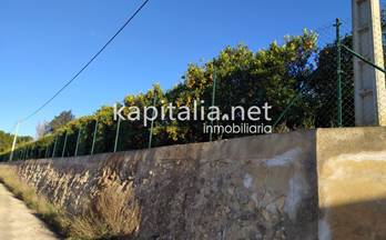 venta finca rustica canals calderona