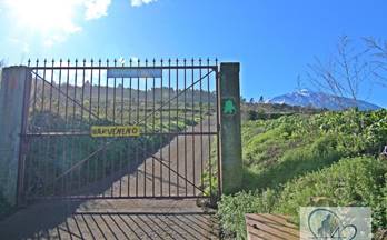 7 terrenos y fincas en venta los realejos