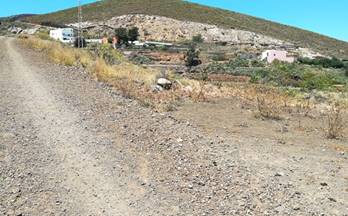 venta terrenos solares breña alta tabaiba alta