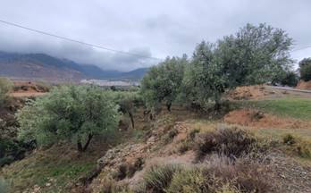 venta finca rustica fondon benecid