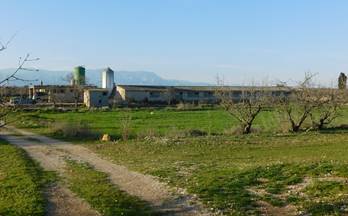 95 terrenos y fincas en venta godall