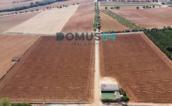 320 terrenos y fincas en venta muro