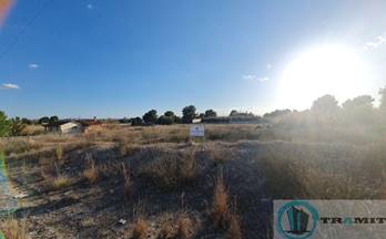 venta terrenos solares molina de segura urbanización el pino