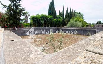 123 terrenos y fincas en venta llubi