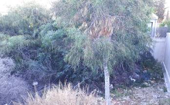 venta terrenos solares alcudia barcarés - manresa - bonaire