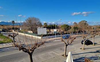 151 terrenos y fincas en venta can picafort
