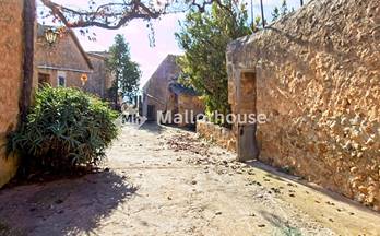 32 terrenos y fincas en venta calvia