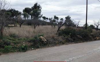 15 terrenos y fincas en venta naquera