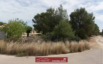 TERRENOS SOLARES en venta Naquera NAQUERA