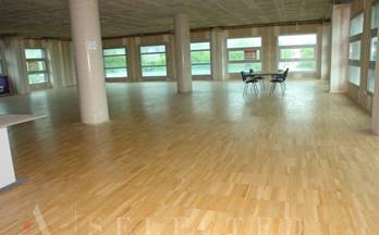 venta local palma de mallorca centro