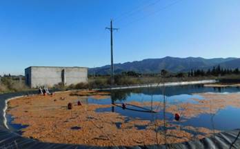 36 terrenos y fincas en venta ulldecona