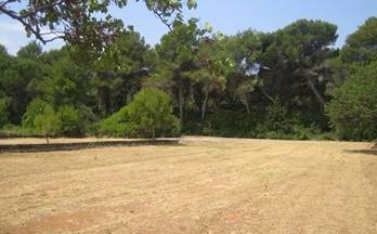 178 terrenos y fincas en venta denia