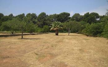 venta terrenos solares denia torrecarrals