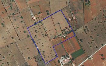 venta terrenos solares santa eulalia del rio campo