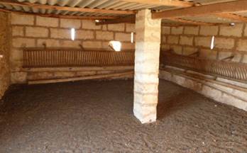 43 terrenos y fincas en venta pina