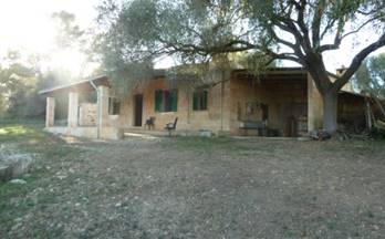 108 terrenos y fincas en venta costitx