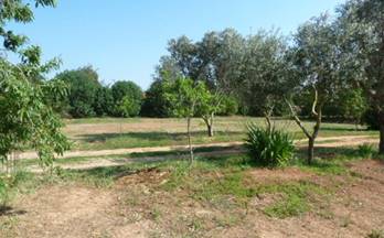 38 terrenos y fincas en venta pina