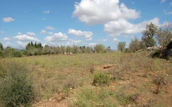 venta terrenos solares muro muro