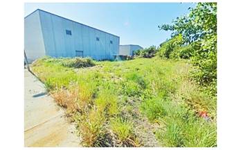 29 terrenos y fincas en venta vilobi del penedes