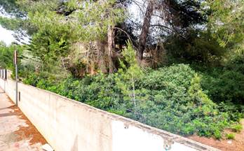 401 terrenos y fincas en venta sa pobla