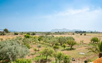venta terrenos solares alcudia ciutat d'alcudia
