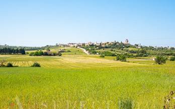 venta terrenos solares muro 